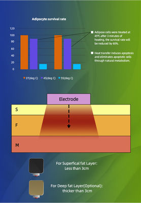 2023 New Arrival Portable TruSculpt ID Trushape ID Body Sculpting Fat Dissolving Fat Burning Weight Loss Machine