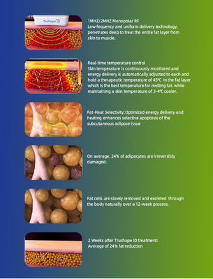 2023 New Arrival Portable TruSculpt ID Trushape ID Body Sculpting Fat Dissolving Fat Burning Weight Loss Machine