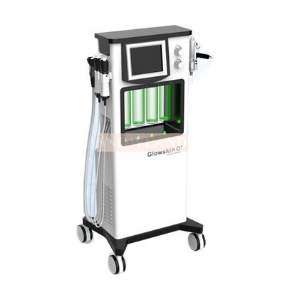 6 IN 1 Facial  Oxy Bubble Face Equipment Snowland Brand