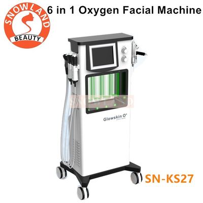 6 IN 1 Facial  Oxy Bubble Face Equipment Snowland Brand