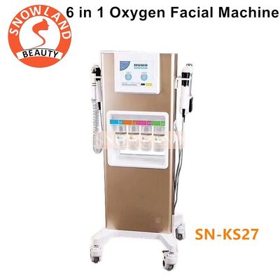6 IN 1 Facial  Oxy Bubble Face Equipment Snowland Brand