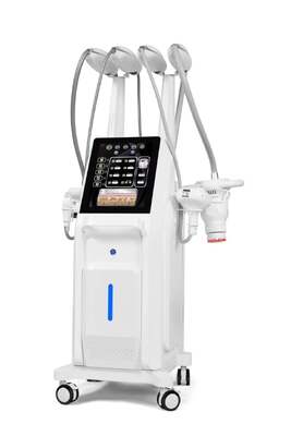 4 in 1 Lpg-lipo Endermology Machine Cellulite Stomach Thighs Cellulite Reduction Treatment Rf Roller Massage Face Lift