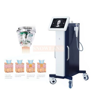 Guangdong machinery equipment RF facial anti-aging micro needle beauty machine