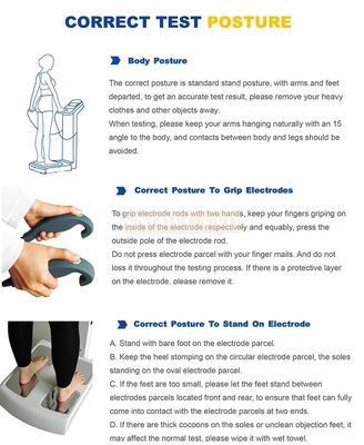 Professional Body Composition Fat Analyzer Micro Elemental Analysis