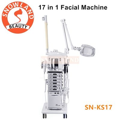 Salon Use 17 In 1 Multifunction Facial Cleansing Brush Manufacturers Skin Care Machine