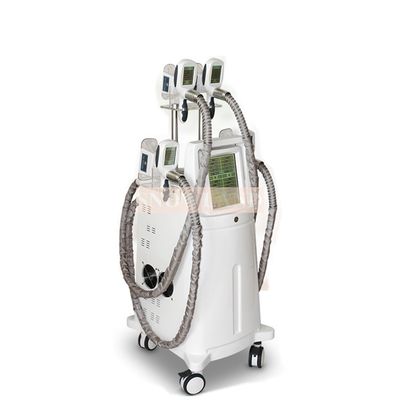 Coolsculpting fat freezing machine cryolipolysis machine with 4 handles for fat removal body slimming