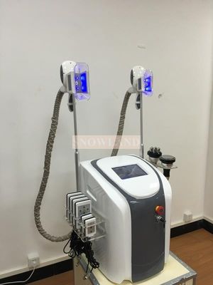 5 in 1 Coolsculpting vacuum cavitation rf fat removal cryolipolysis body slimming machine Weight Loss Equipment
